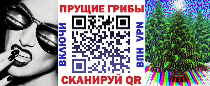 наркота  Лосино-Петровский  Псилоцибиновые грибы Magic Shrooms 