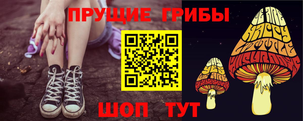 Псилоцибиновые грибы MAGIC MUSHROOMS Лосино-Петровский
