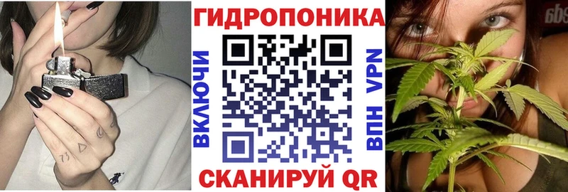 купить   Лосино-Петровский  Канабис ГИДРОПОН 